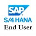 SAP S4Hana end user course